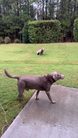 #goosecreekcandle #rainyday #Home #myfavorite