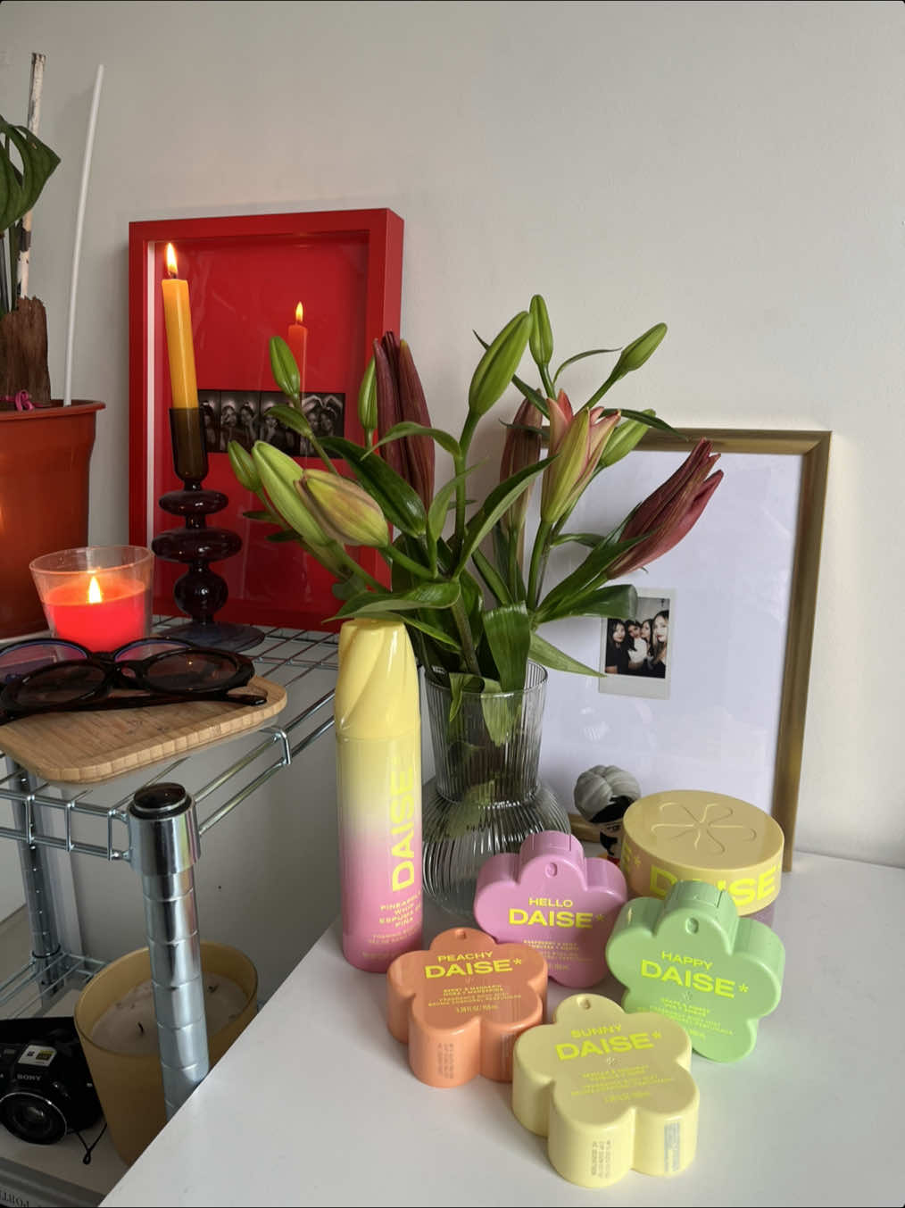 cuál es tu favorito?👀🩷 @daisebeauty #GlowWhatYouWear #publicidad #daisebeauty #viral #paratii 