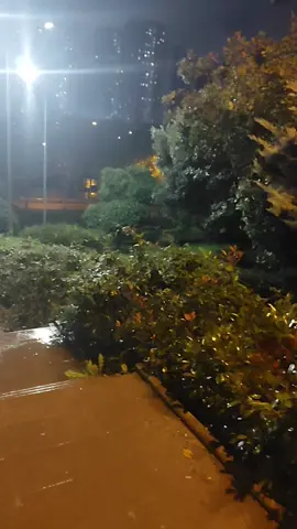 #متابعه_ولايك_واكسبلور #اكسبلورexplore #لايك_فولو #تصويري_احترافي_الاجواء👌🏻🕊😴 #تركيا_اسطنبول_العراق_سوريا_مصر 