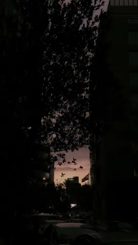 … #تصويري📷 #الامام_علي #بيروت #شعر #موسيقى