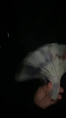 #fyp #money #moneyspread #moneyflexing #xyzcba 