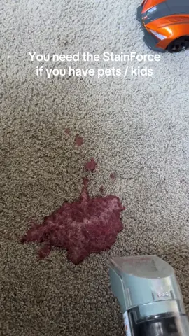 Thank you Shark StainForce! #sharkstainforce #stainforce #sharkhome #carpetcleaning #vacuumtherapy Shark StainForce Handheld Spot and Stain Cleaner @Shark Home 