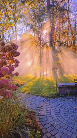 #wakingup #wakeup #blessings 