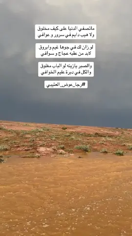 #شعراء_وذواقين_الشعر_الشعبي 