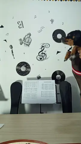 amazing #presidente #maquina #puppy #regueton #foryou 