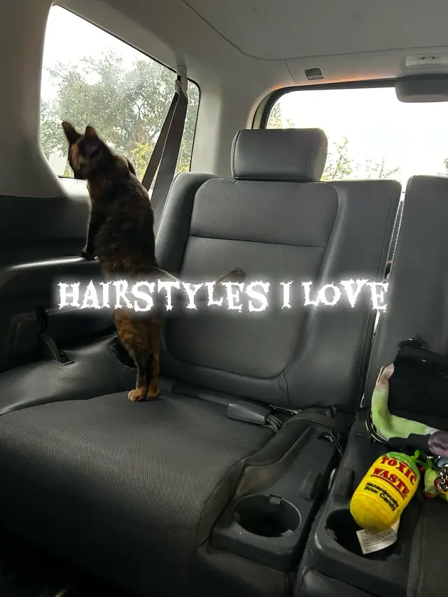 i probably forgot a lot i dunno i like all hair 