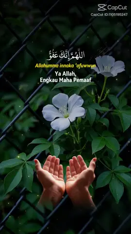 #dzikir #fypシ  #fyp 