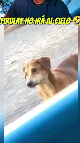 Firuláis no se compone 🤣 #manuelhumor #firulais #paratiiiiiiiiiiiiiiiiiiiiiiiiiiiiii #etretenimiento #videoviral 