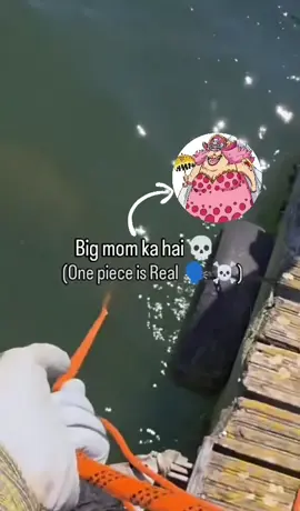 Someone needed to stop big mom I’m thankful for Law & Kidd 🤣🤣🤣 #anime #onepiece #eustasskidd #trafalgardwaterlaw #bigmom