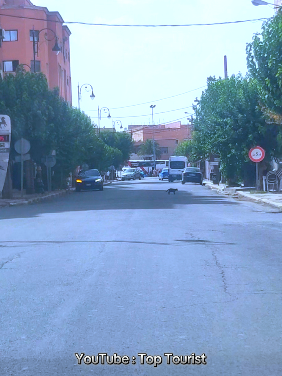 Oued Zem #morocco  #ouedzem  #مغاربة_العالم  @Top Tourist 