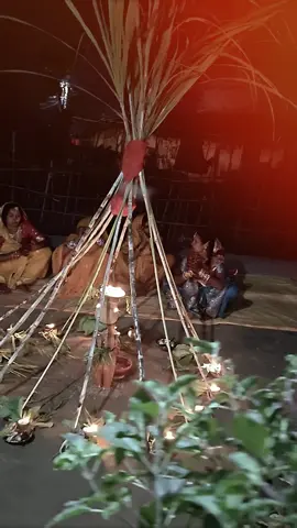 #koshi_song 🙏❤️