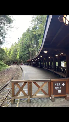 😊早安美好😊念念不忘的阿里山美景、火車#旅遊 #回憶 #阿里山 #火車 #任素汐 #聽歌 
