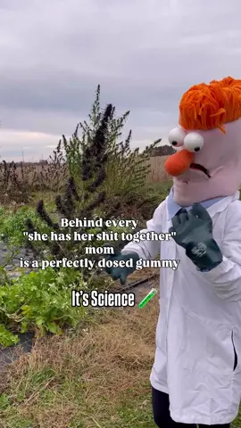 Let’s talk about what “perfectly dosed” really means. Because here’s the thing… I’m not trying to escape my life. I’m trying to actually be present to LIVE it. After 8 years of helping moms find their sweet spot with plant medicine, here’s what I’ve learned: The perfect dose isn’t always about getting high. It’s about getting relief. Relief from the constant mental load Relief from snapping over stupid shit Relief from that heavy feeling in your chest Relief from pretending you’re fine when you’re not Maternal burnout is a real thing. We are yearning for the magic pill that allows us to show up as the best mom we can be. Finding thet exact right amount that helps us be the mom we KNOW we are underneath all the stress. Not zonked out. Not checked out. Just... ourselves. But calmer. Society’s Plant exists because I got tired of the guessing game. Tired of moms suffering in silence because they’re scared of taking “too much” or being judged for taking anything at all. Your perfect dose? It’s the one that helps you: 🐆 Actually hear what your kids are saying 🐆 Find their meltdowns manageable instead of triggering 🐆 Feel like yourself again, not some stressed-out stranger That’s not getting high. That’s prioritizing yourself. And honestly? Science backs this up, but your kids’ smiles when you’re actually present? That’s all the proof you need. Who else is done pretending they can white-knuckle through motherhood?