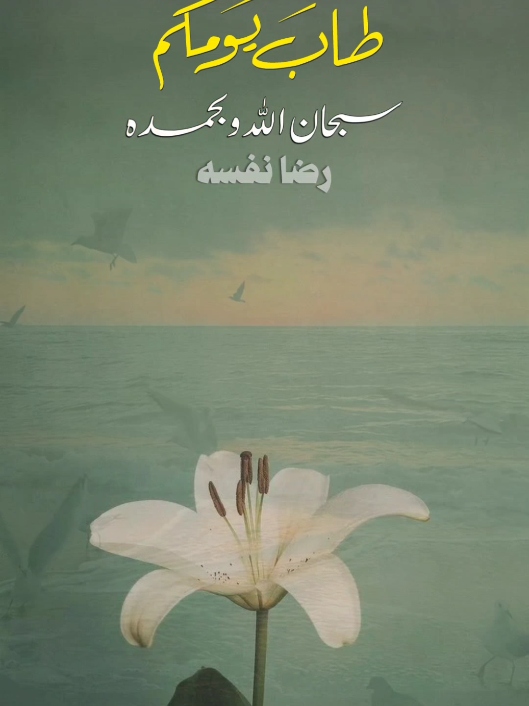 سبحان الله #صباح_الخير #صباحكم_سعادهـ #اصبحنا_واصبح_الملك_لله_والحمد_لله #اذكار_المسلم #اكسبلور 