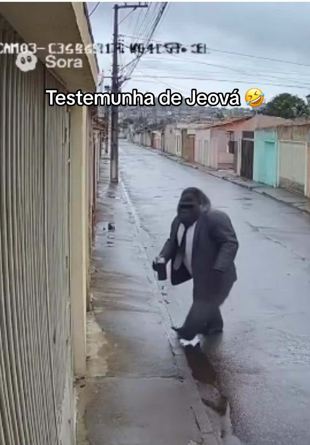 Gorila testemunha de Jeová. Acho que foi de propósito 🤣🤣🤣#sora2 #meme #creatorsearchinsight #videoviralitiktok #ia 
