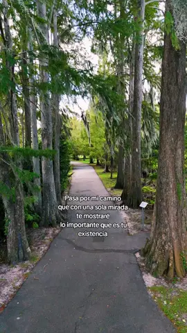 linda noche familia #corazondeleon07 