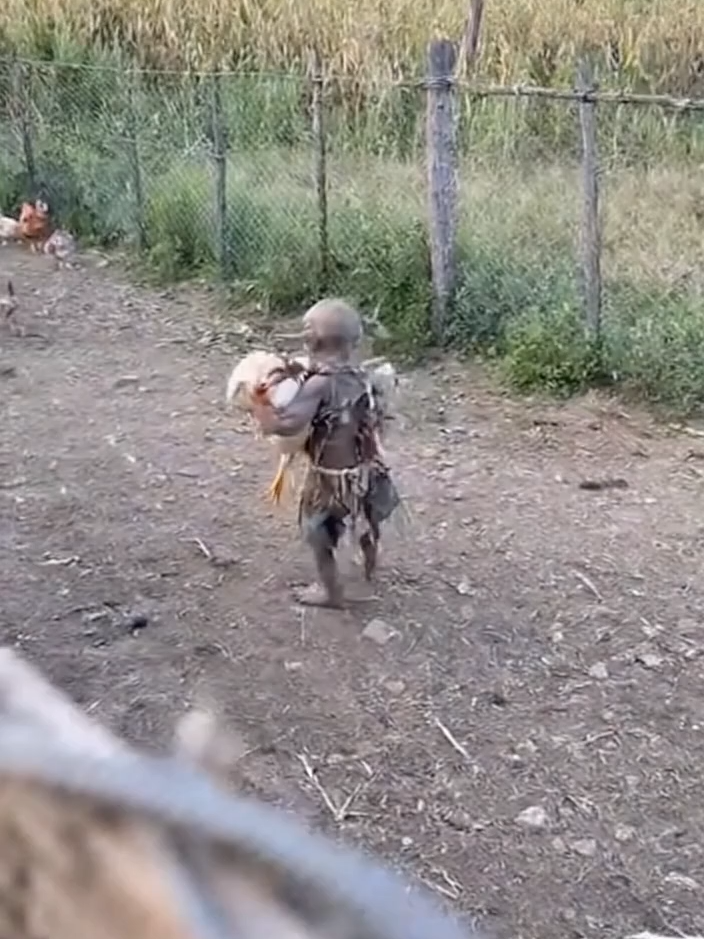 El duende que se roba las gallinas en la granja #criaturasextrañas #criaturasextrañasdelanoche #viralreelsシ #fypシ゚viralシ #duendesreales