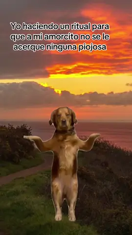 #humor#memestiktok #capcut #🤣🤣🤣🤣 #paratii 