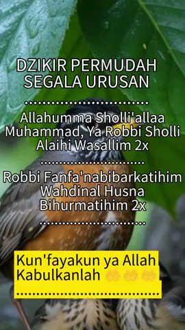 Aamiin Ya Alloh semoga dipermudah segala urusan#tiktok #fyp 