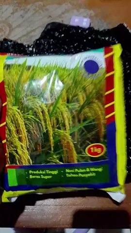 benih padi hibrida mapan p 05 hasil melimpah dan tahan hama #benihpadi  #mapan p05