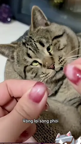 Muốn lòi hai con mắt luôn nè sen 😄