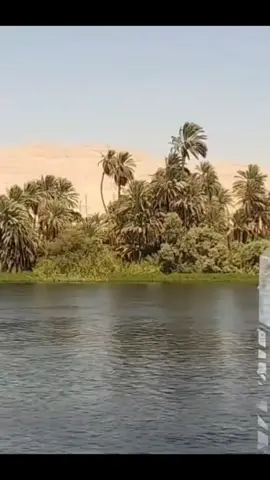 #سوهاج #سوهاج_قنا_اسيوط_اسوان_المنيا_الاقصر #صعيدي_ياخال_والاسم_لوحدو_مواااال #اكسبلور #العسيرات 