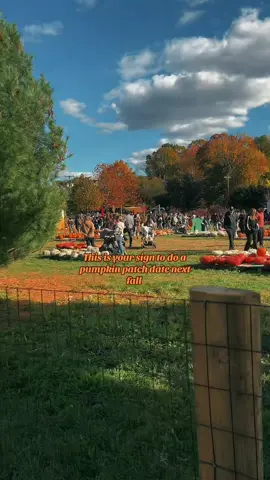 #fypシ #viral #pumpkinpatch 