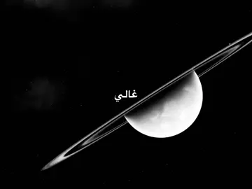 اني بعيوني أفتديك.         #محمد_عبد_الجبار #foryou #استوري #اقتباس #fyp 