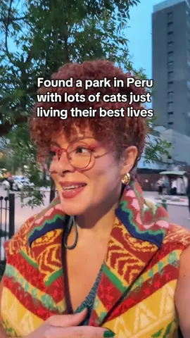 There’s a park in Lima, Peru completely run by cats. 🐈✨ It’s called Kennedy Park, and more than 100 cats roam freely here, lounging on benches, napping in flower beds, and greeting visitors like locals. 📍 Save this for your next trip to Lima…it’s free, adorable, and located right in the center of Miraflores.  #CatPark #KennedyPark #Miraflores #VisitPeru #LimaPeru  