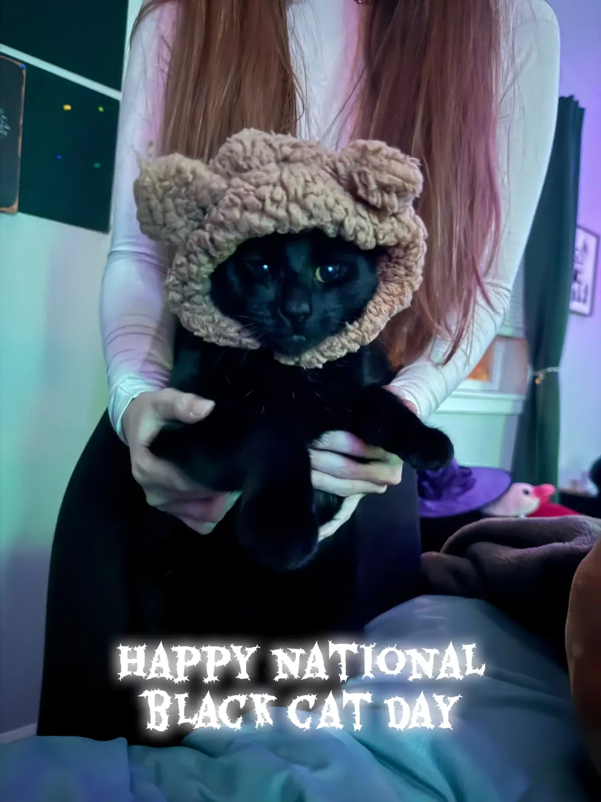 #cats #spooky 