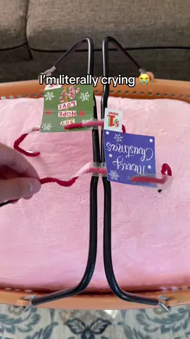 The BEST small doggie gift!❤️😭 #doglover #tiktokmademebuyit #dogs #dog #toastyhoody 