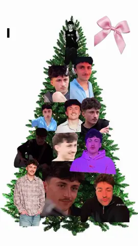 le seul cadeau que j’accepte a Noël 🎅 🎄🎁#StarAcademy #emissiontv #christmas #leo #sapin 