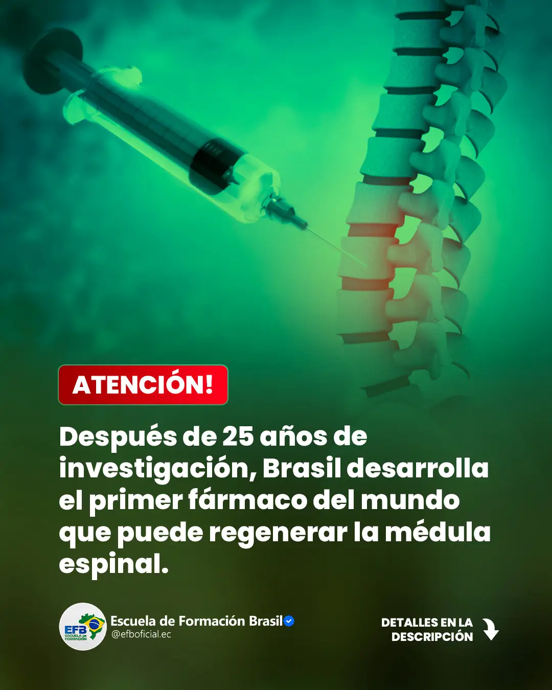 🧬 Brasil avanza en la medicina regenerativa 🇧🇷 Científicos brasileños desarrollaron un tratamiento innovador utilizando una proteína de la placenta humana para devolver parte de los movimientos a perros y humanos que sufrieron lesiones en la médula espinal. 💡 Este avance, presentado por investigadores de la Universidad Federal de São Paulo (Unifesp), podría abrir nuevas puertas para terapias aplicadas a pacientes con parálisis parcial o total. 🔬 El estudio demuestra cómo Brasil se consolida como un referente en innovación médica, impulsando proyectos que integran ciencia, tecnología y salud humana. ✨ Si sueñas con formar parte de investigaciones como esta, empieza por prepararte hoy: aprender portugués es tu primer paso para unirte a la medicina del futuro en Brasil. 🔗Fuente: g1.globo.com