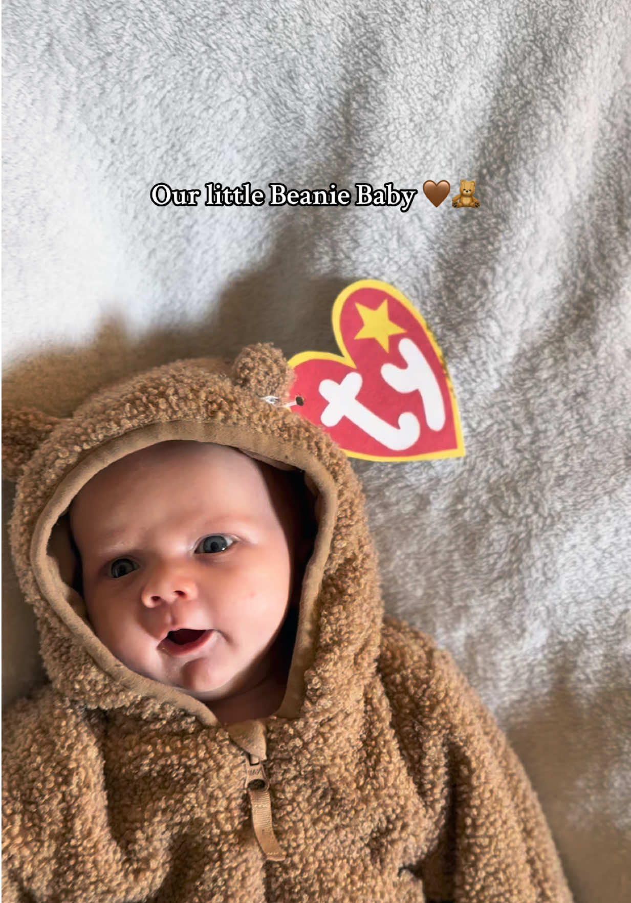 🤎🧸 #halloween #halloweencostume #beaniebaby #ty #newborn 