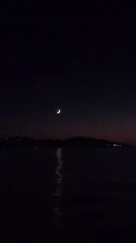 #benisaf💪🇩🇿🇩🇿❤️❤️🐬💪 