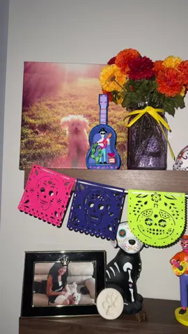 i miss you Peaches 🩷 #diademuertos #perro #doggrief 