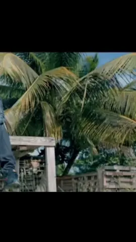 #warped #ceregard #antillesguyane #🇬🇫🇲🇶🇬🇵🇭🇹 #CapCut 