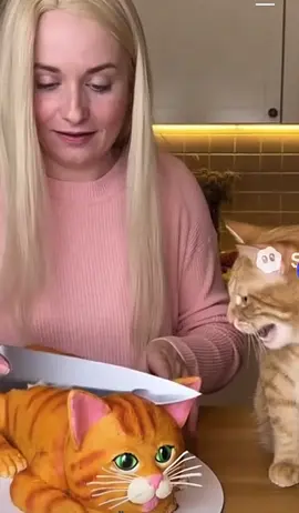 Scary cat !  #scarycat #scarytiktoks 