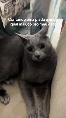 Não sei se a risada foi boa demais.