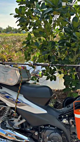 Lá gì nghe lạ quá 🤣 #62longan #lure 