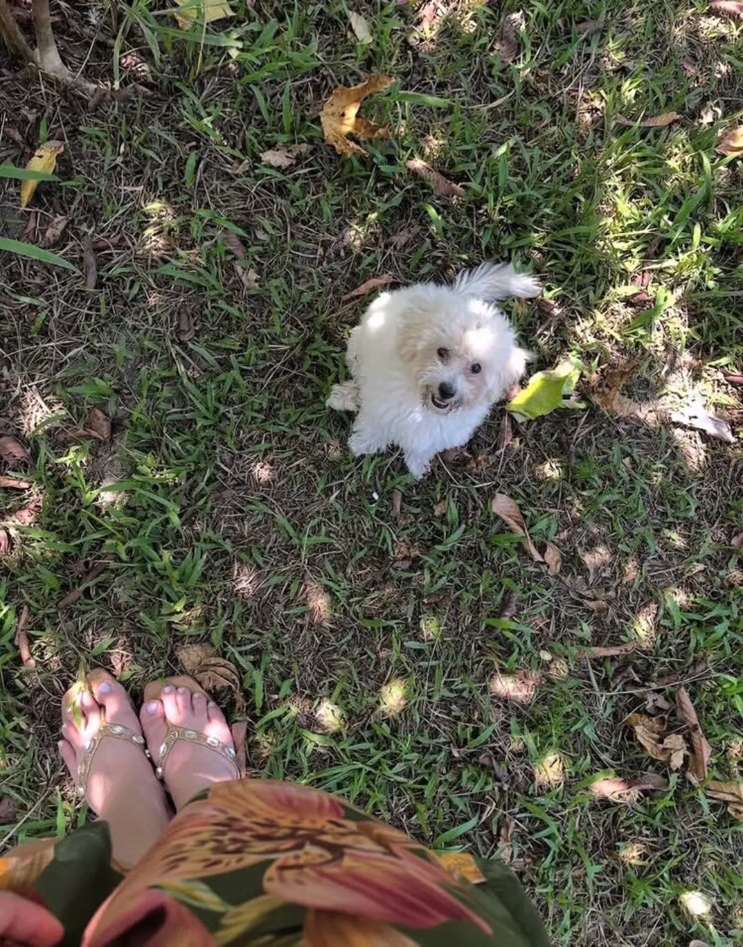 It’s a beautiful day today 🌞