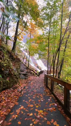 When the rain can’t stop you from enjoying the view. Worth it.  #amicalolafalls #waterfallhike #georgia #rainydayadventures #autumnleaves 