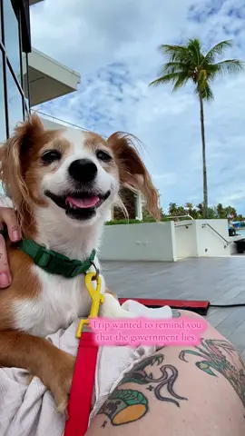 ICYMI #DONTTRUSTTHEGOVERNMENT #nobillionaires #eattherich #puertorico #caribbean 