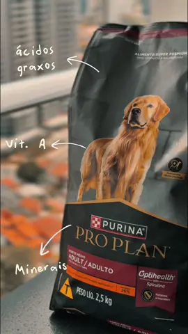 por aqui saúde e beleza começam dentro da tigela com #Purina #ProPlan 🐶 #OrgulhodeSerNestlé 