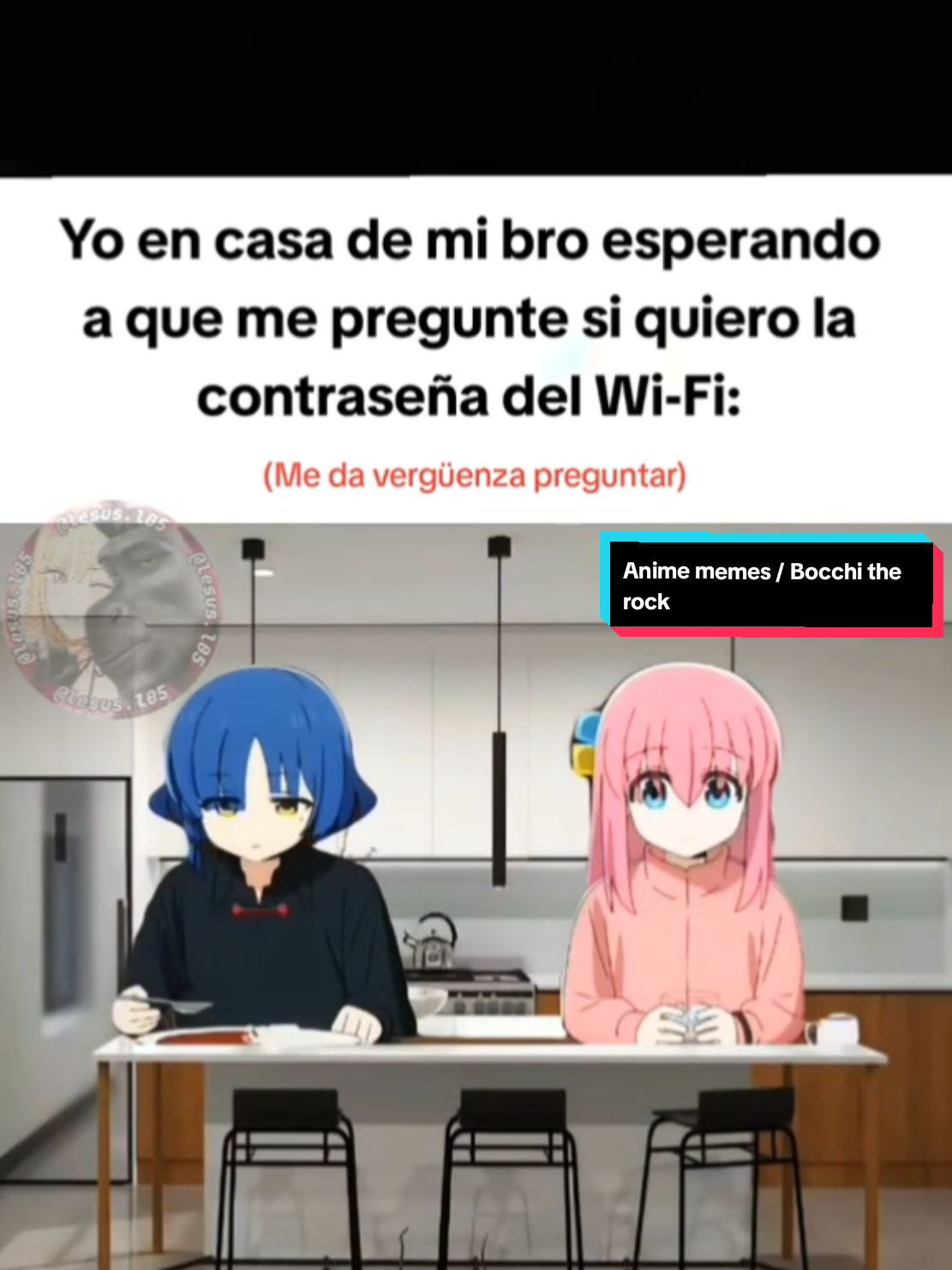 Anime memes / Memes de anime 💯 #animememes #anime #bochitherock #hitorigoto #meme 