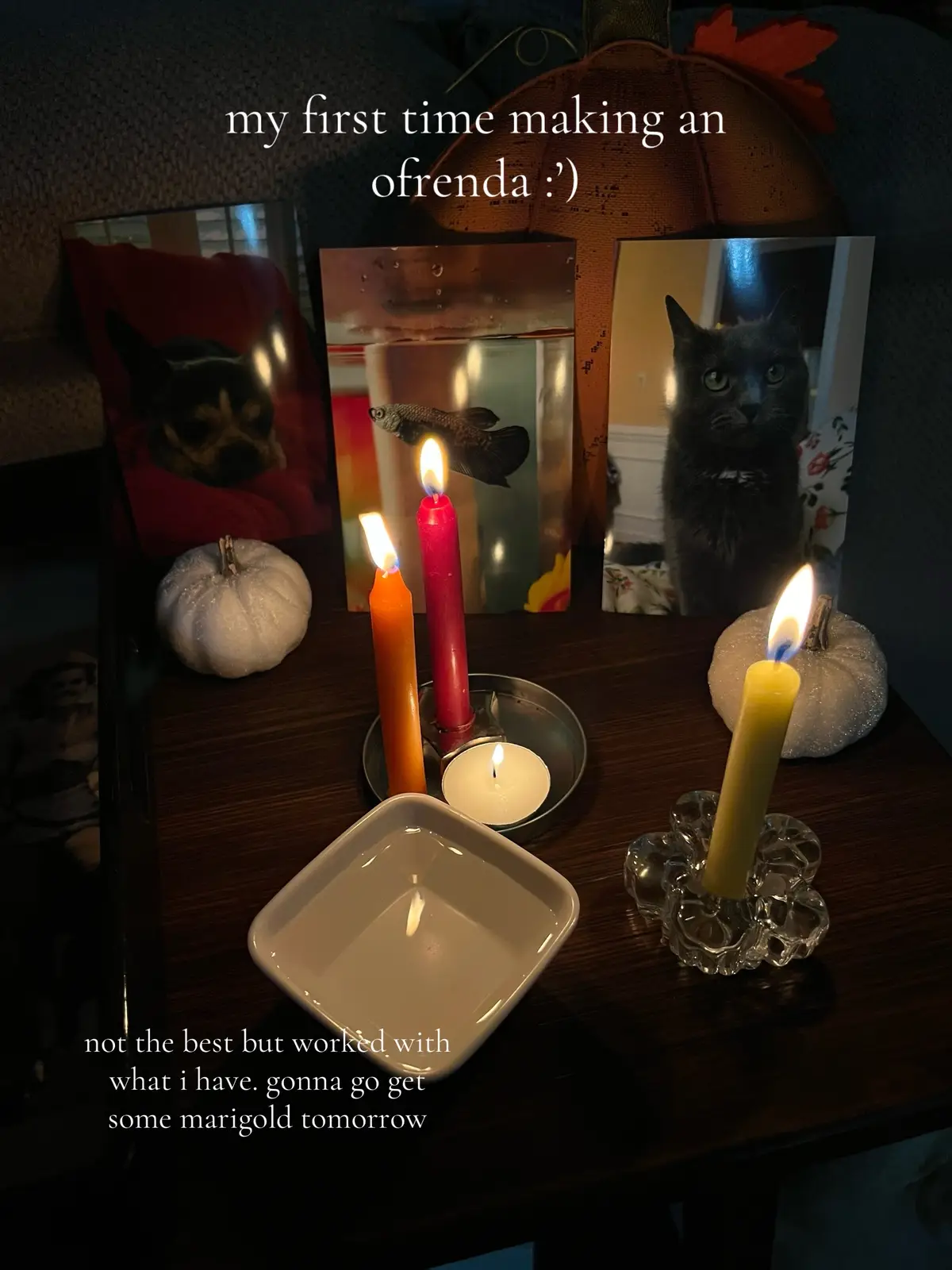 i miss my sweet babies so much 