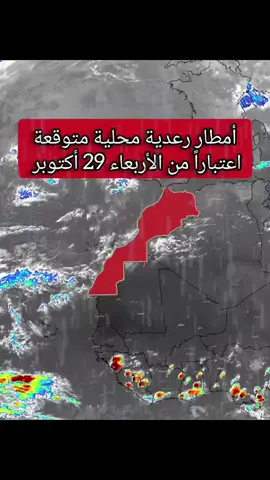 #PaidPartnership #LIVECareer #LIVEwithlowfollowers #LIVEIncentiveProgram 