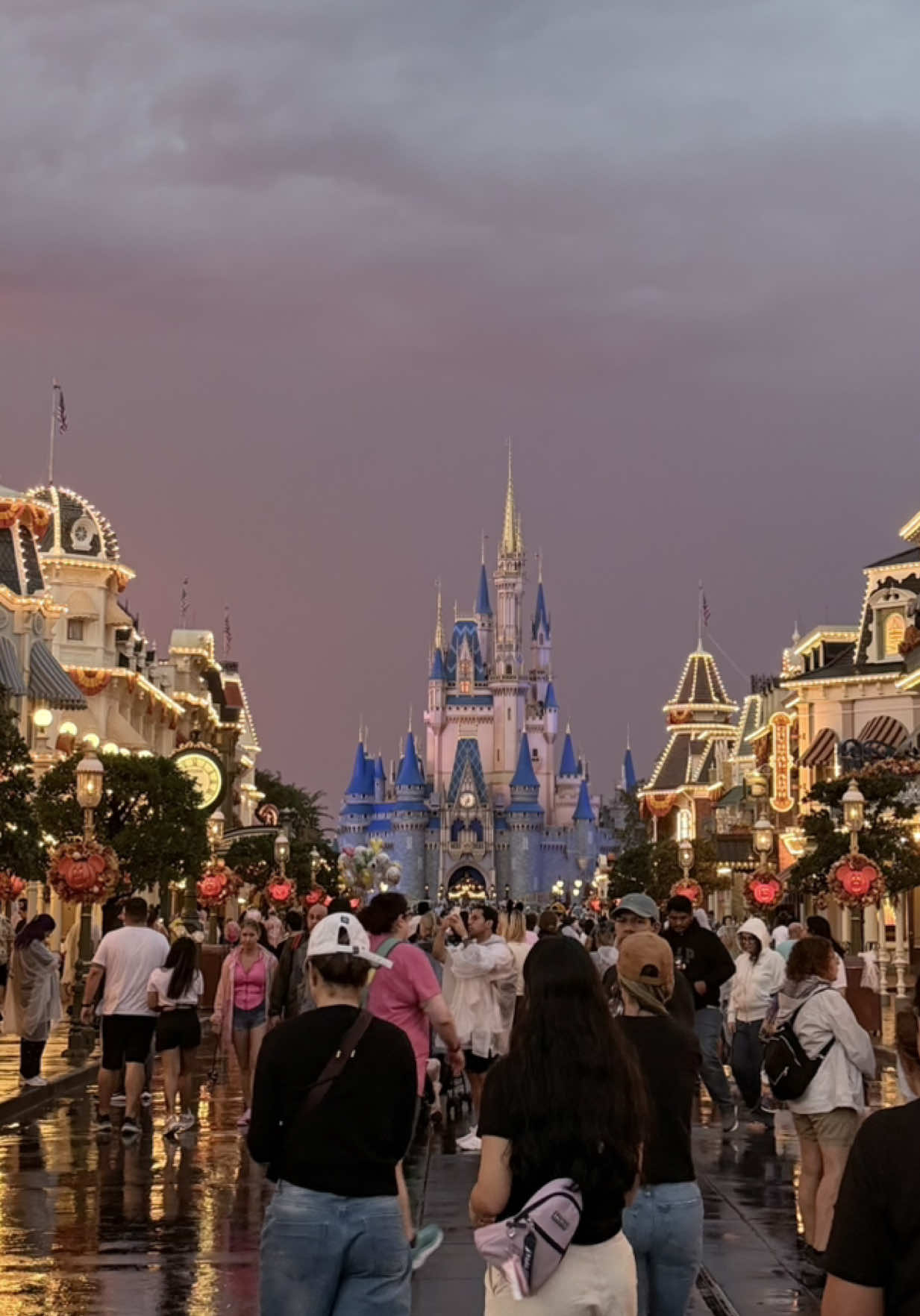 The castle be looking extra pretty tonight ✨  Don’t mind me was testing the zoom on my phone 😅 #magickingdom #waltdisneyworld #castle #disneyparks