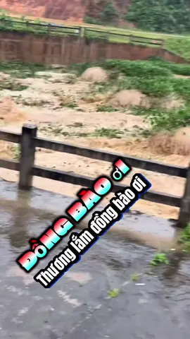 Đồng bào ơi thương lắm đồng bào ơi #rock metal#ANHBATRUNG #XUHUONGTIKTOK #lulutmientrung 