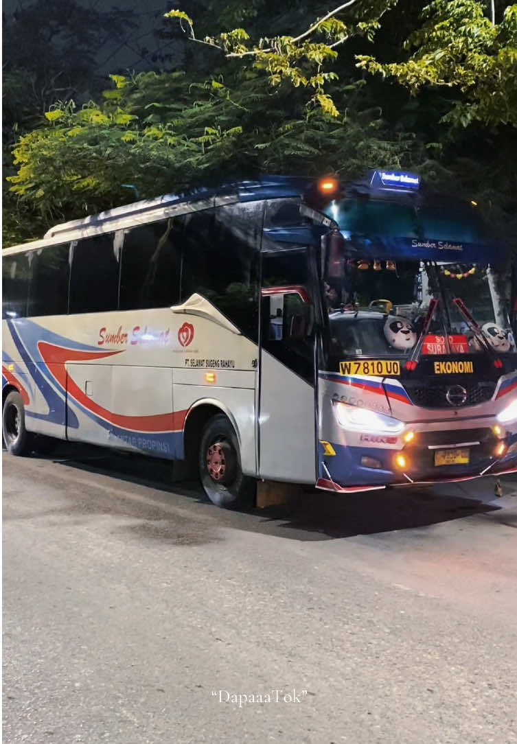 Jangan lupa hapus chat sebelum pulang💃 || salah satu armada sumber group dengan livery langka yang masih tersisa, Sumber Selamat W 7810 UP 🐬🚀🏁 ~ #sumbergrouplovers🤗🐬 #lumbalumbadarat🐬 #fypシ #sumberselamat #videobus @𝗛 𝗔 𝗟 𝗟 𝗢 𝗗 𝗘 𝗘 @Massandhi @Rosi Naufal @Rovindaputra @Korban Wong Tuo Mu @CCTV_BIS JATIM_RACE02🤪 @STYLE PAPA MUDA @Debbysetyar  